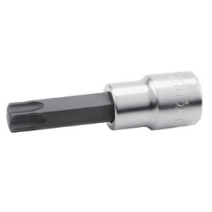 Vít lục sao 1/2
