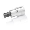 Vít socket 1/2